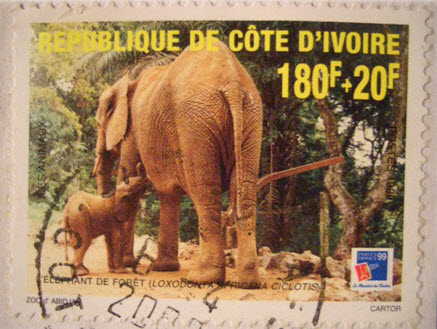 rare-stamp-elephant-ivory-coast